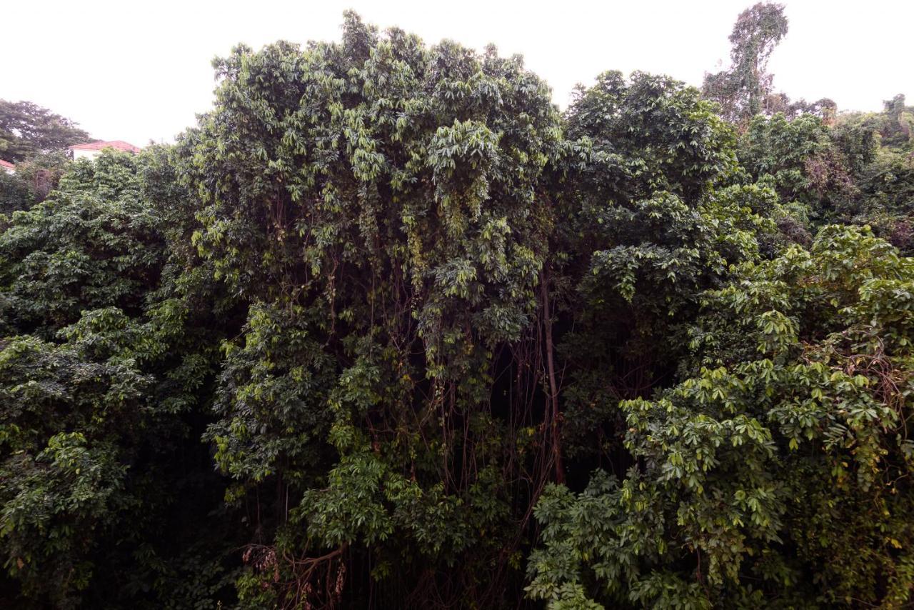 Sossego Em Copacabana - Vista Arborizada - Br1009 Z4 Río de Janeiro